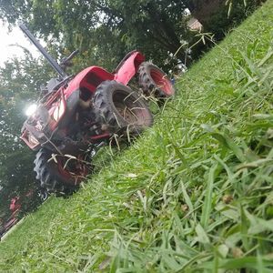 Meet your Posher, Jackson